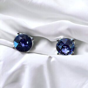 Midnight Blue Post Stud Earrings